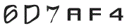 F؉摜