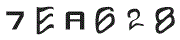 F؉摜